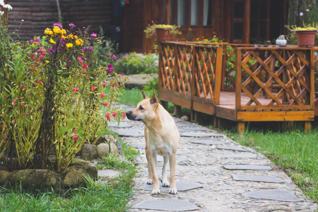 Homestay So 91-Suoi Ho Sapa Exterior foto